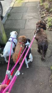day care south west london