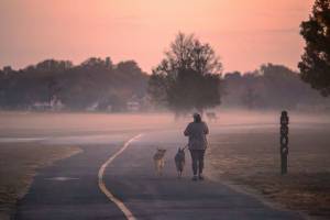 dog walker in putney